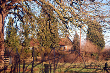 Ivy Farm from the road December 2008